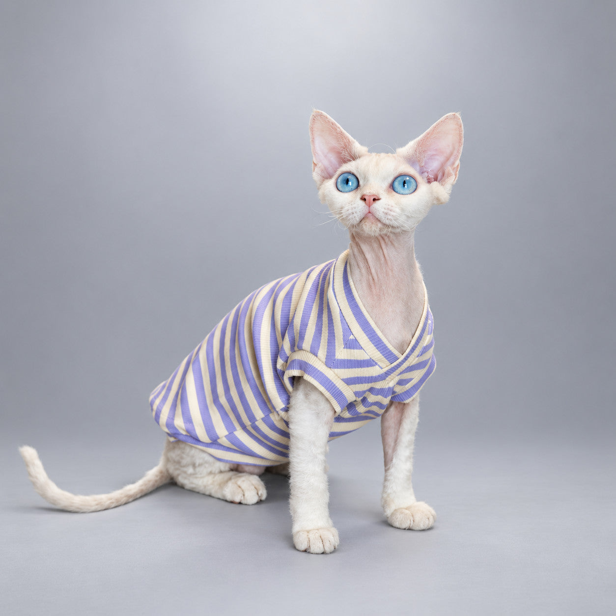 Lavender Stripe V-Neck Cat Shirt