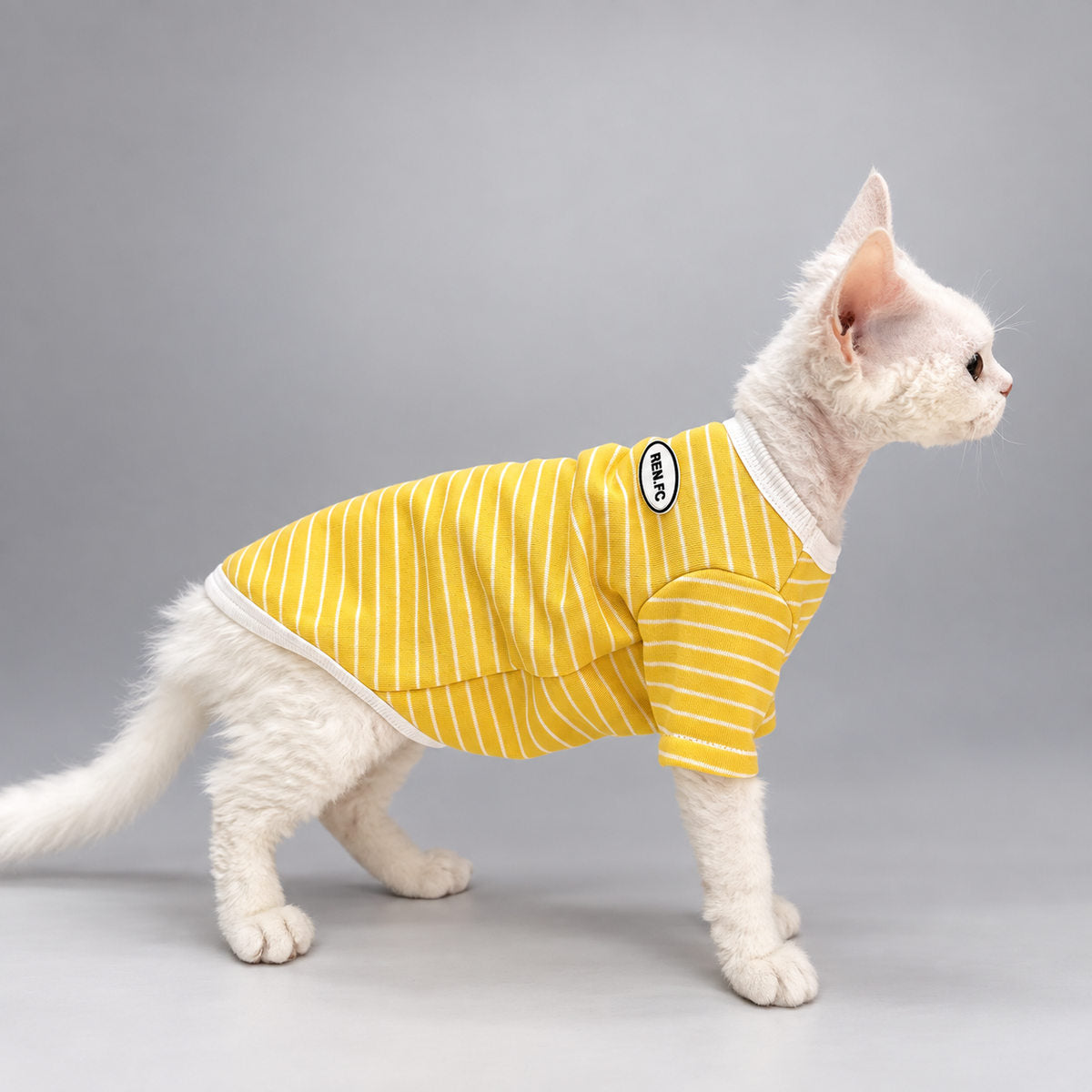Sunstripe Short-Sleeve Cat Shirt