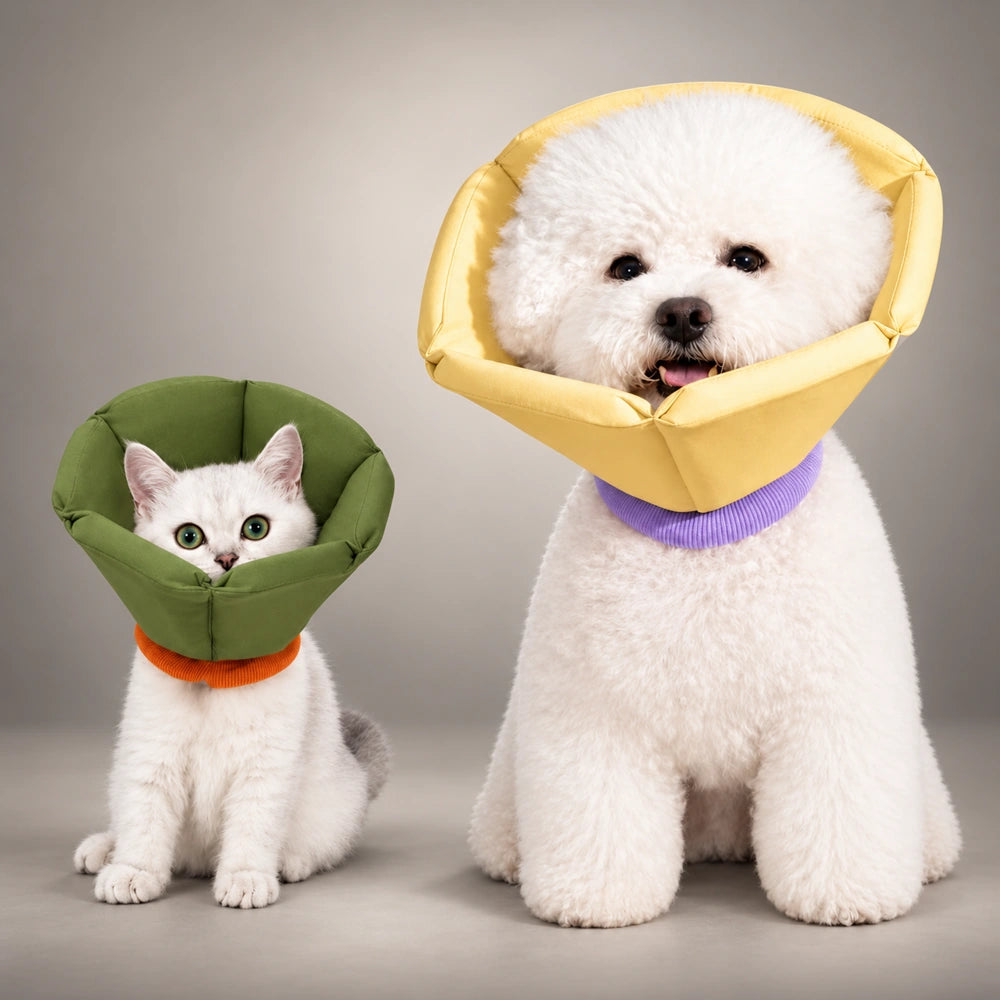 Extended-Depth Soft Recovery Cone for Cats & Small Dogs
