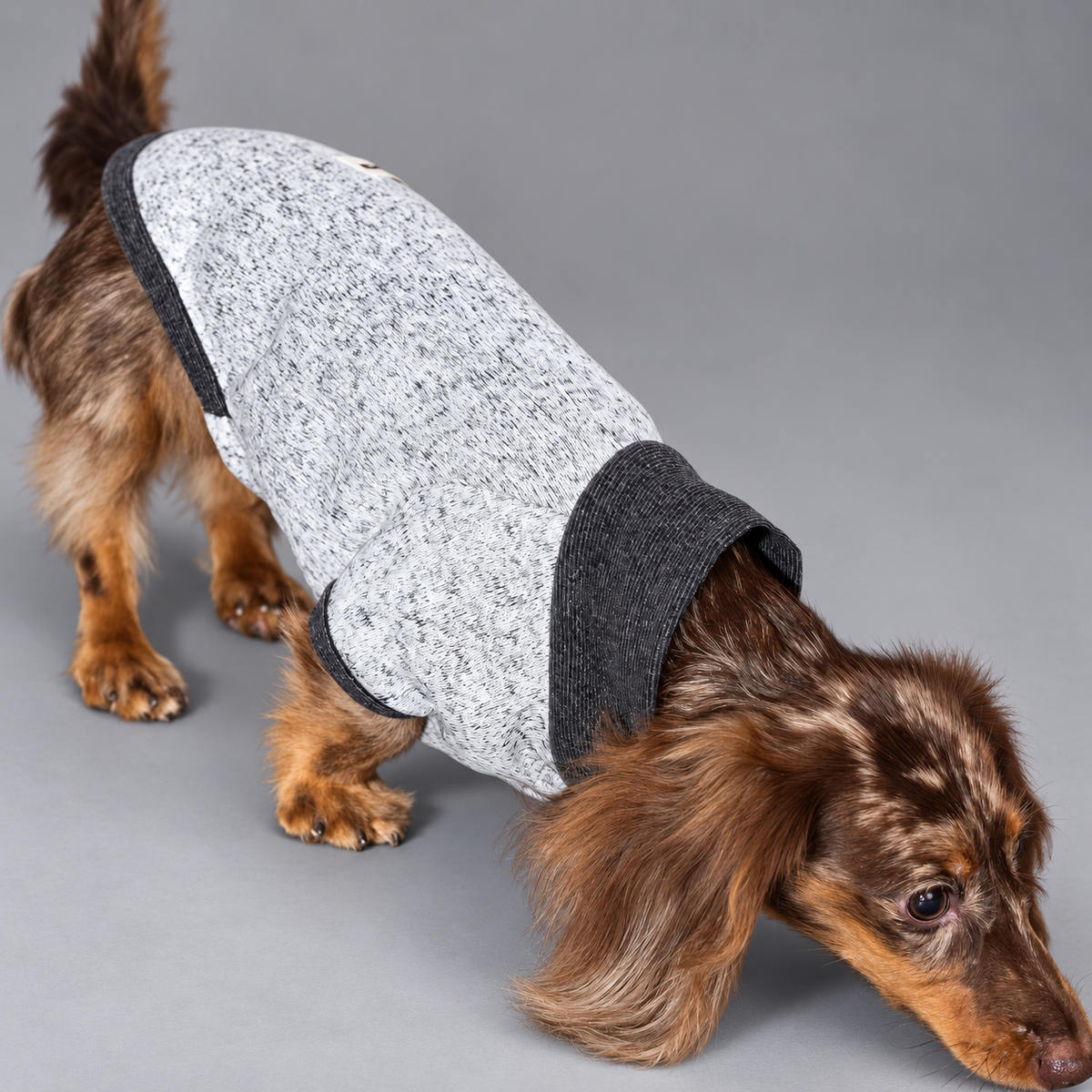 Heather Gray Wool-Blend Two-Leg Pet Sweater