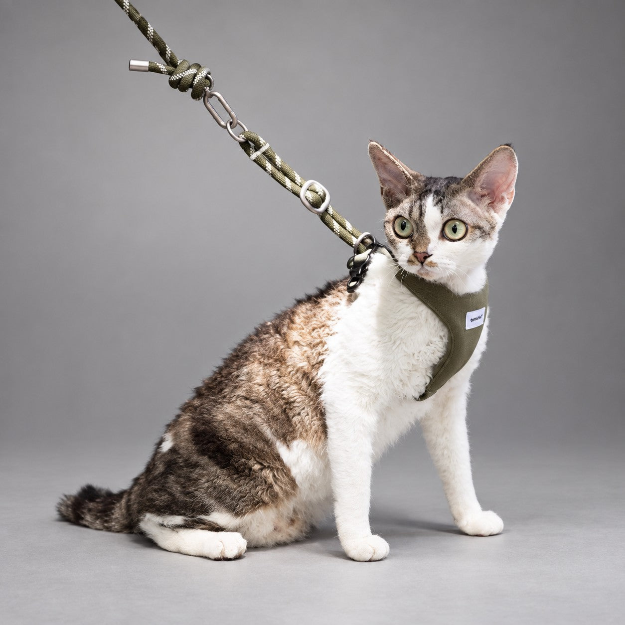 Arnés y Correa para Gatos Colorblock AirLite