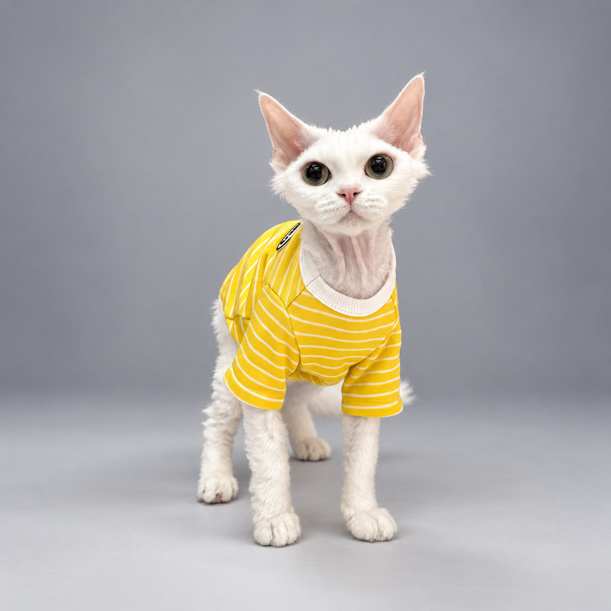 Sunstripe Short-Sleeve Cat Shirt