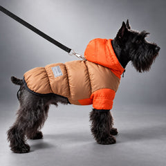 Color-Block Hooded Fleece-Lined Dog Puffer Jacket