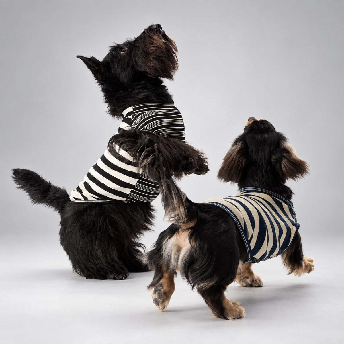 Soft Lyocell Striped Dog Shirt