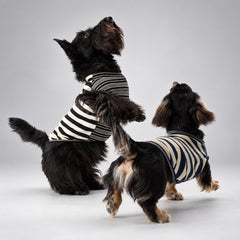 Soft Lyocell Striped Dog Shirt