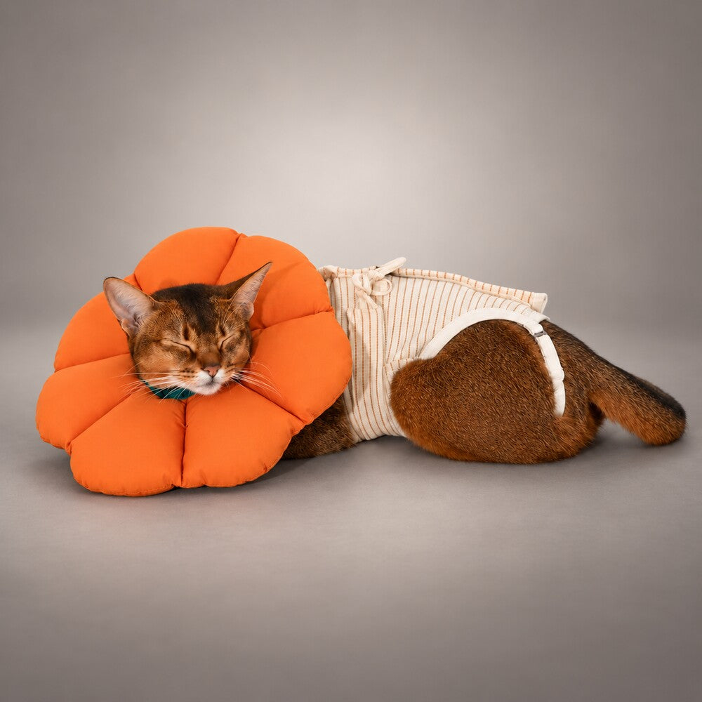 Cat Recovery Suit & Soft Flower Collar Set