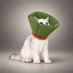 Extended-Depth Soft Recovery Cone for Cats & Small Dogs