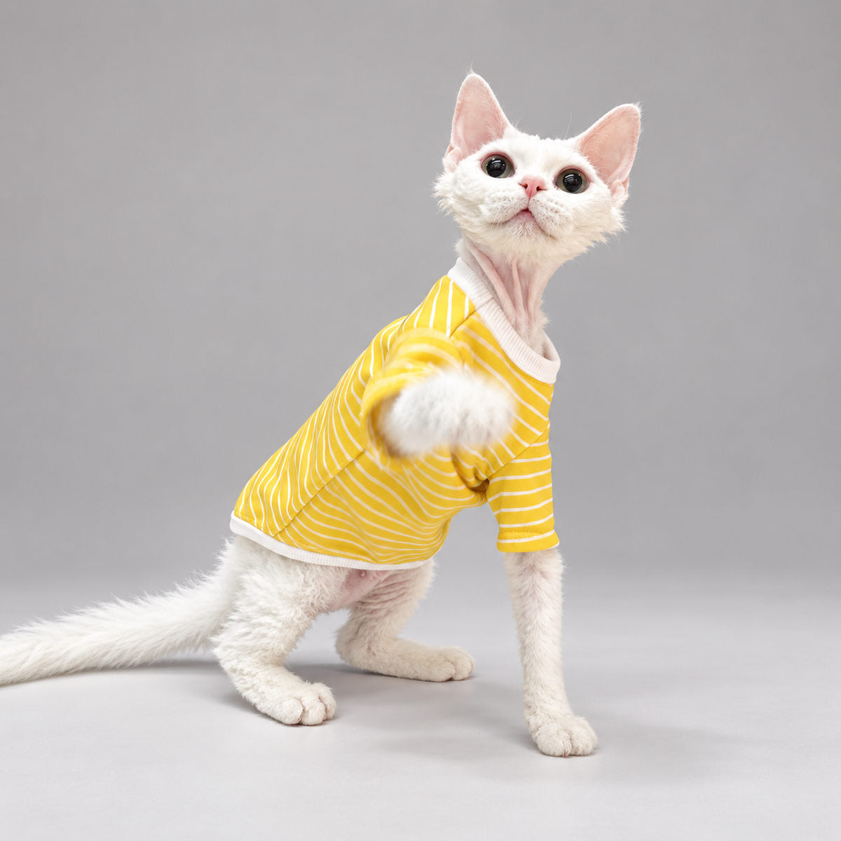 Sunstripe Short-Sleeve Cat Shirt