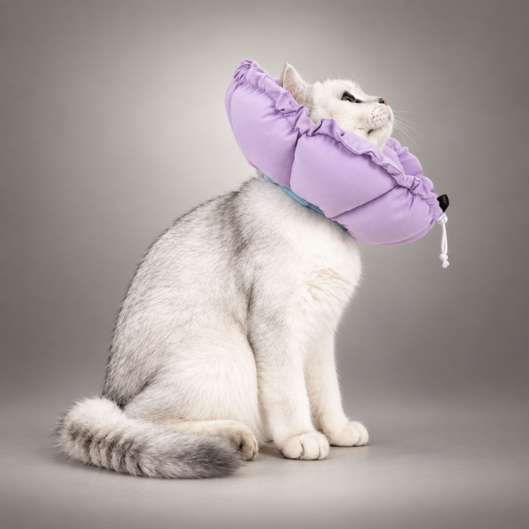 Adjustable Soft Flower Cat Recovery Collar