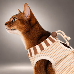 Cat Recovery Suit & Soft Flower Collar Set