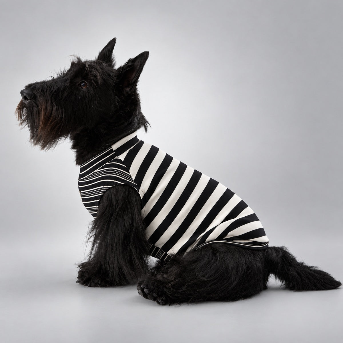 Soft Lyocell Striped Dog Shirt