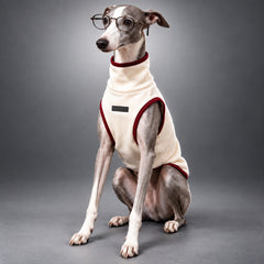 Cashmere & Mulberry Silk Pet Warmth Vest