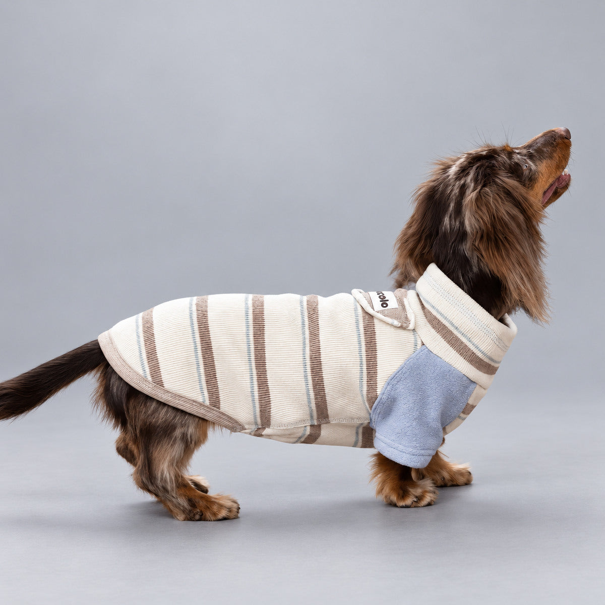 Fleece-Lined Striped Knit Pet Sweater