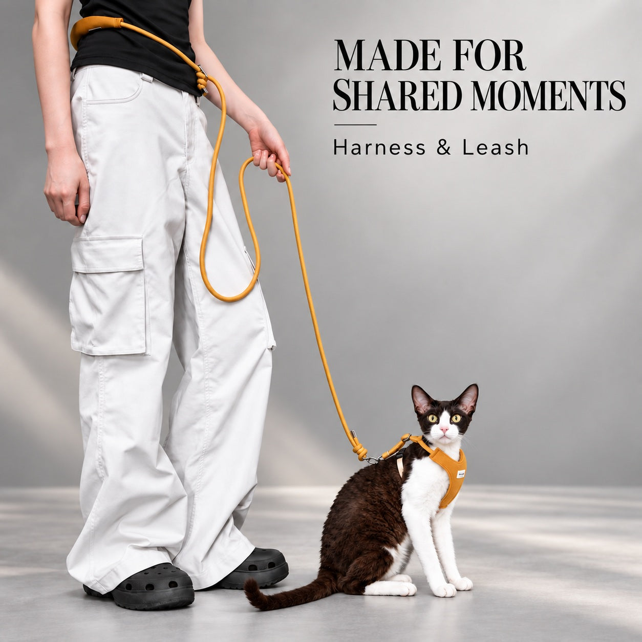 Arnés y Correa para Gatos Colorblock AirLite