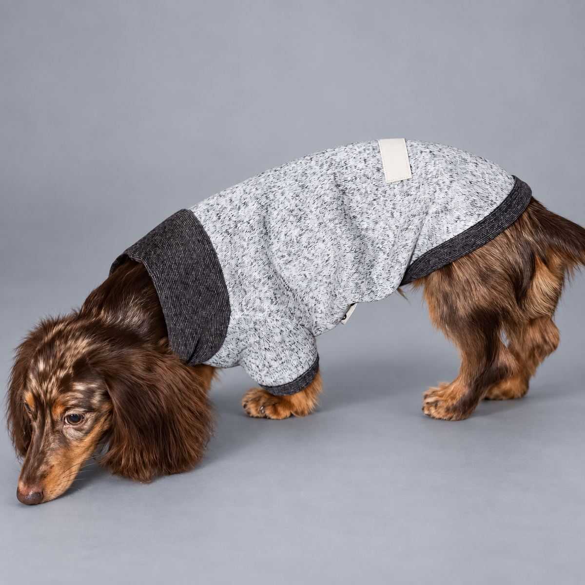 Heather Gray Wool-Blend Two-Leg Pet Sweater