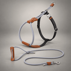 Sighthound Escape-Resistant Leather Rope Dog Harness & Leash Set