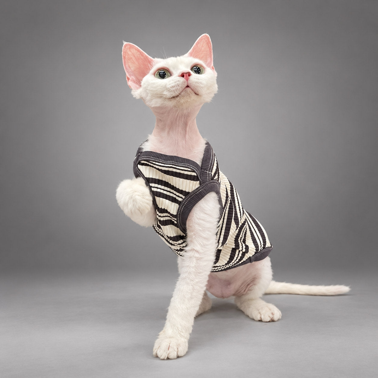 Monochrome Ribbed Cat Vest