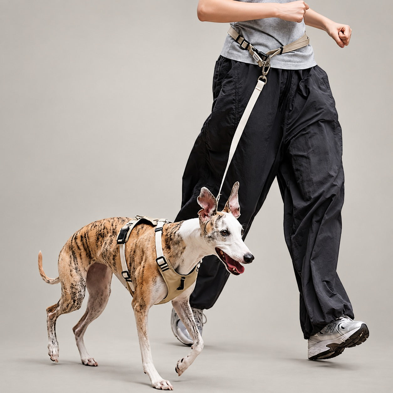 Everyday Control Pressure-Relief Dog Harness