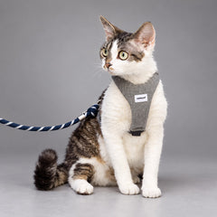Arnés y Correa para Gatos Colorblock AirLite