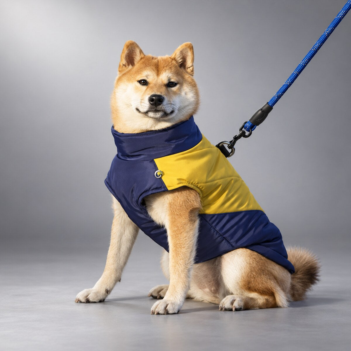 Quilted Dog Vest with Back Zip & Leash Rings
