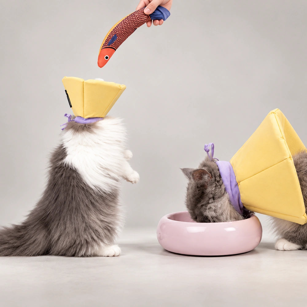 Extended-Depth Soft Recovery Cone for Cats & Small Dogs