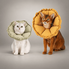 Soft Flower Recovery Cone Collar for Cats