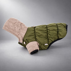 Color-Block Hooded Fleece-Lined Dog Puffer Jacket