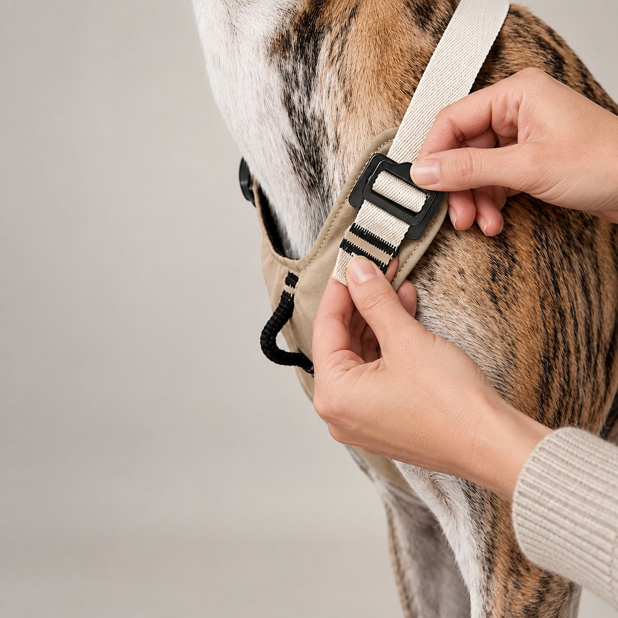 Everyday Control Pressure-Relief Dog Harness