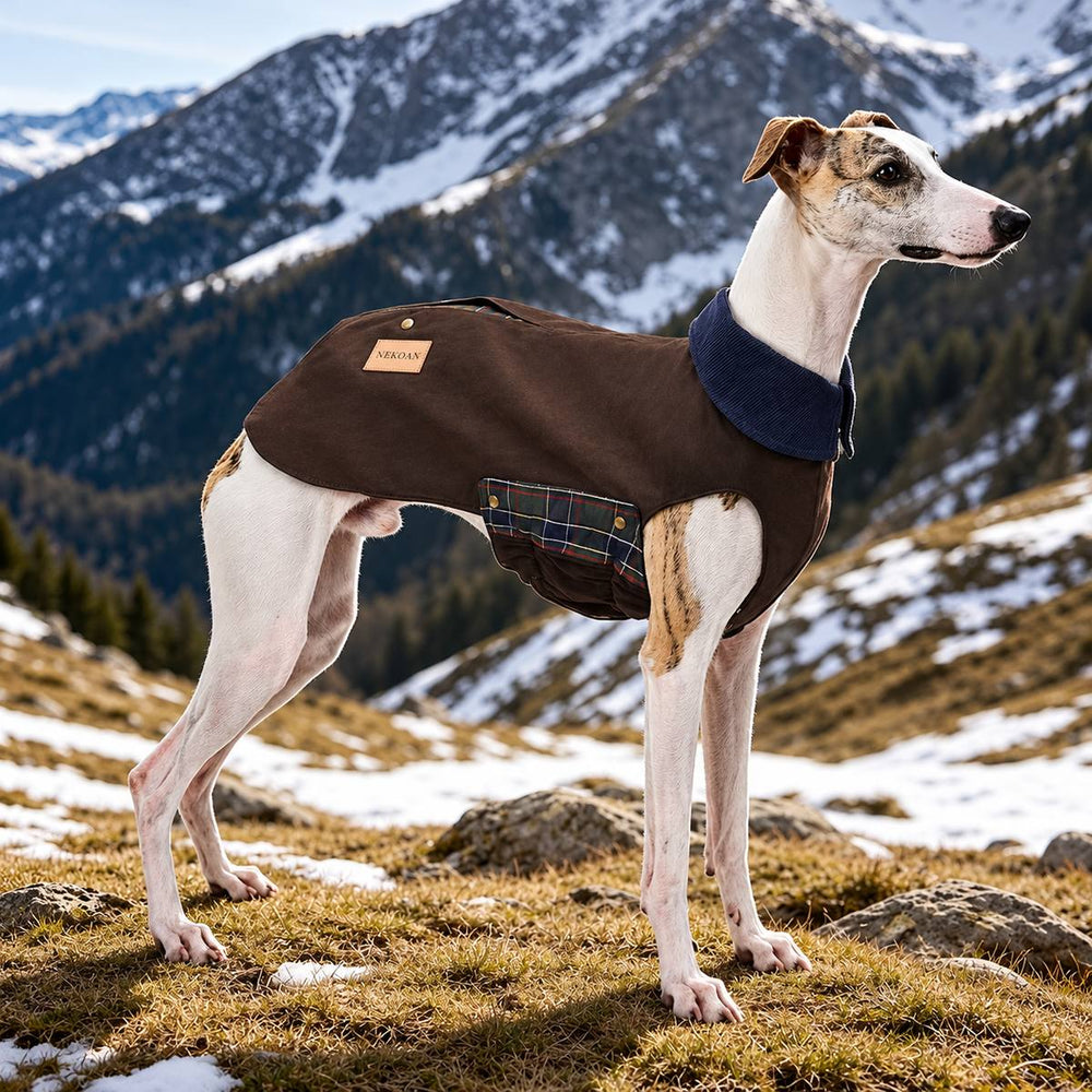Dog wearing the NEKOAN brown coat with a navy collar in a mountain landscape.