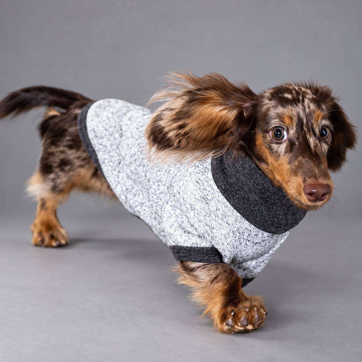 Heather Gray Wool-Blend Two-Leg Pet Sweater