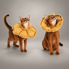 Soft Flower Recovery Cone Collar for Cats