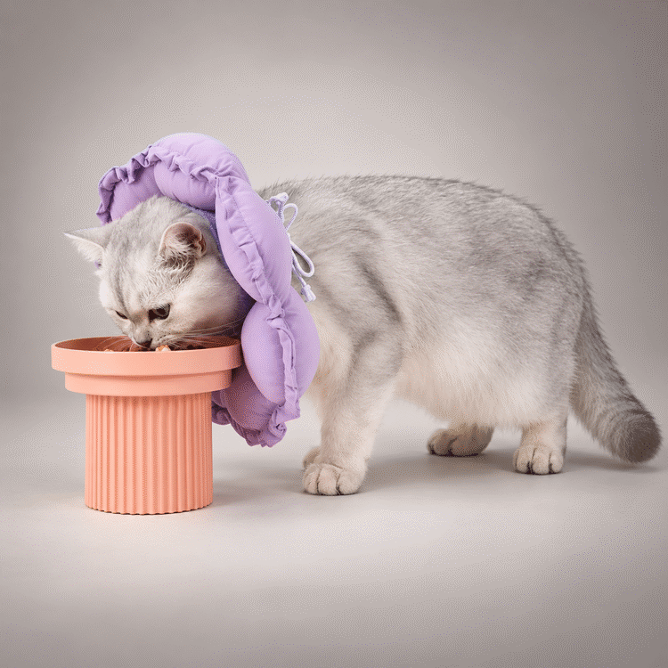Adjustable Soft Flower Cat Recovery Collar