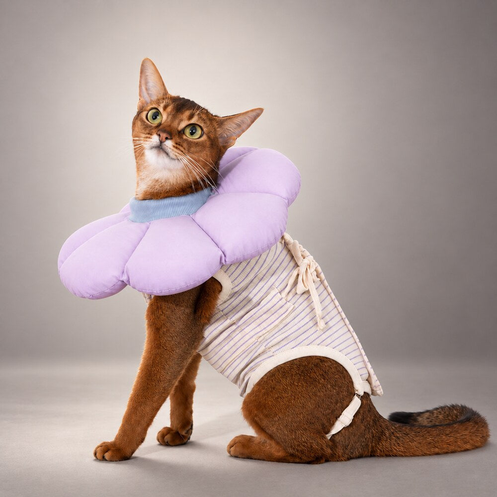 Cat Recovery Suit & Soft Flower Collar Set