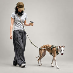 Everyday Control Pressure-Relief Dog Harness