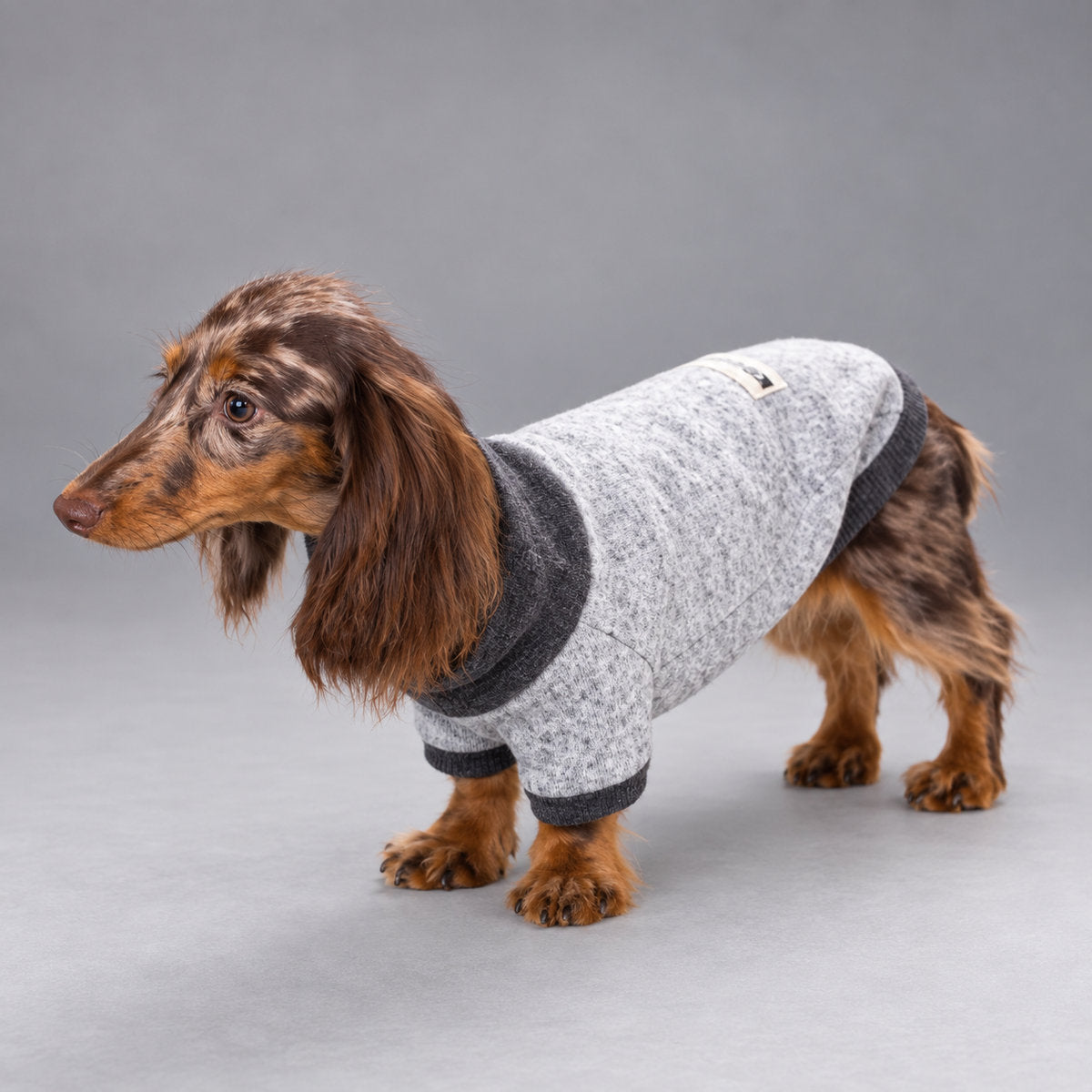 Heather Gray Wool-Blend Two-Leg Pet Sweater