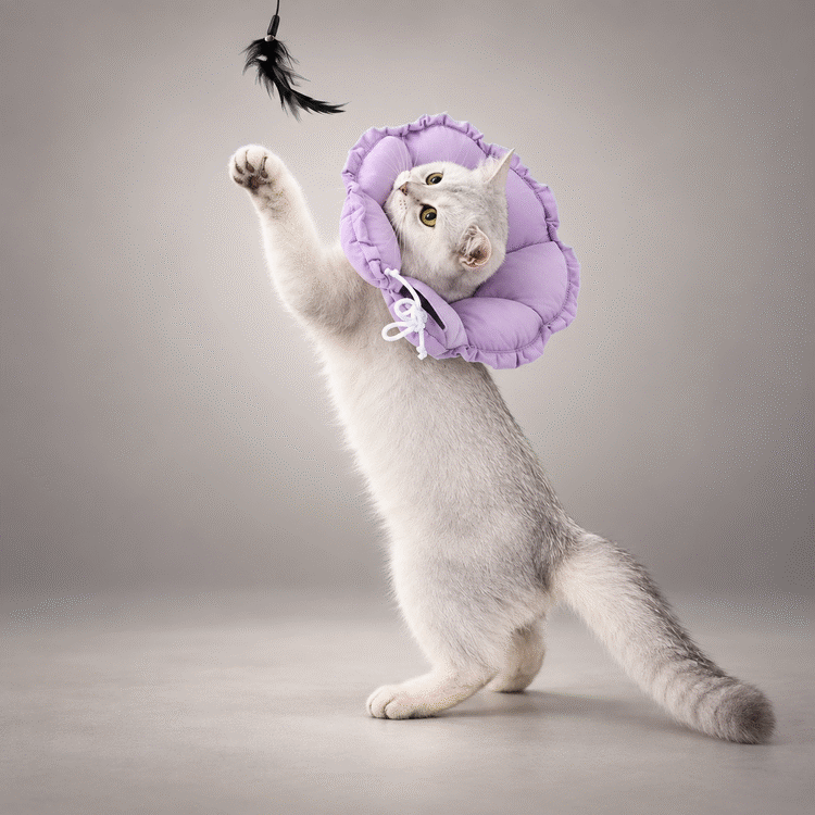Adjustable Soft Flower Cat Recovery Collar