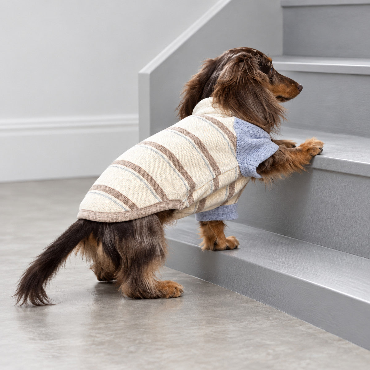 Fleece-Lined Striped Knit Pet Sweater