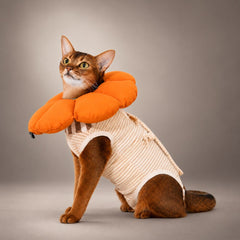 Cat Recovery Suit & Soft Flower Collar Set