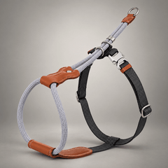 Sighthound Escape-Resistant Leather Rope Dog Harness & Leash Set