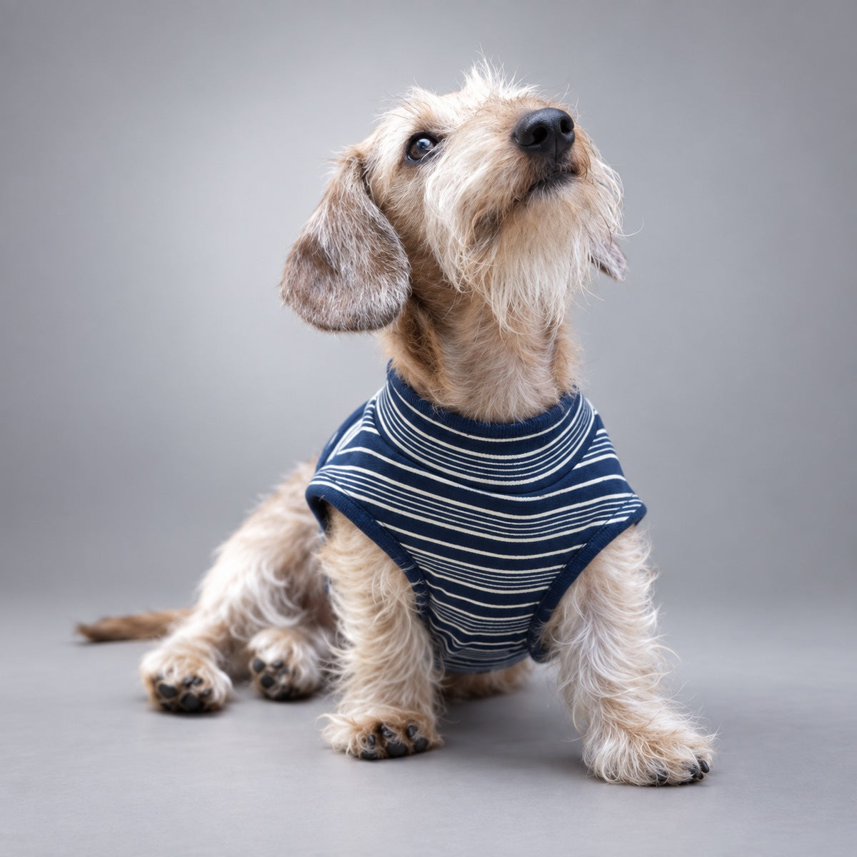 Soft Lyocell Striped Dog Shirt