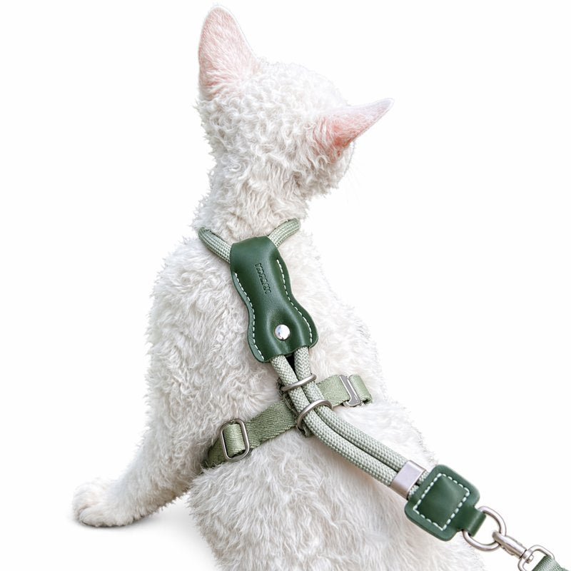 Ausbruchsicheres Katzengeschirr und Leine Set, Verstellbares weiches Katzenweste-Geschirr zum Spazierengehen, Atmungsaktives leichtes Kätzchengeschirr mit Leine