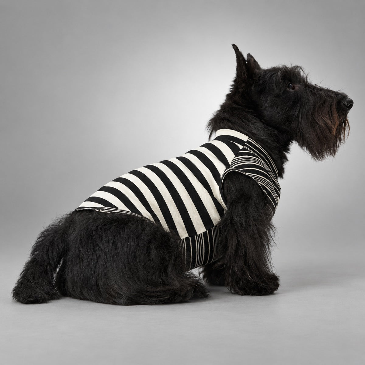 Soft Lyocell Striped Dog Shirt