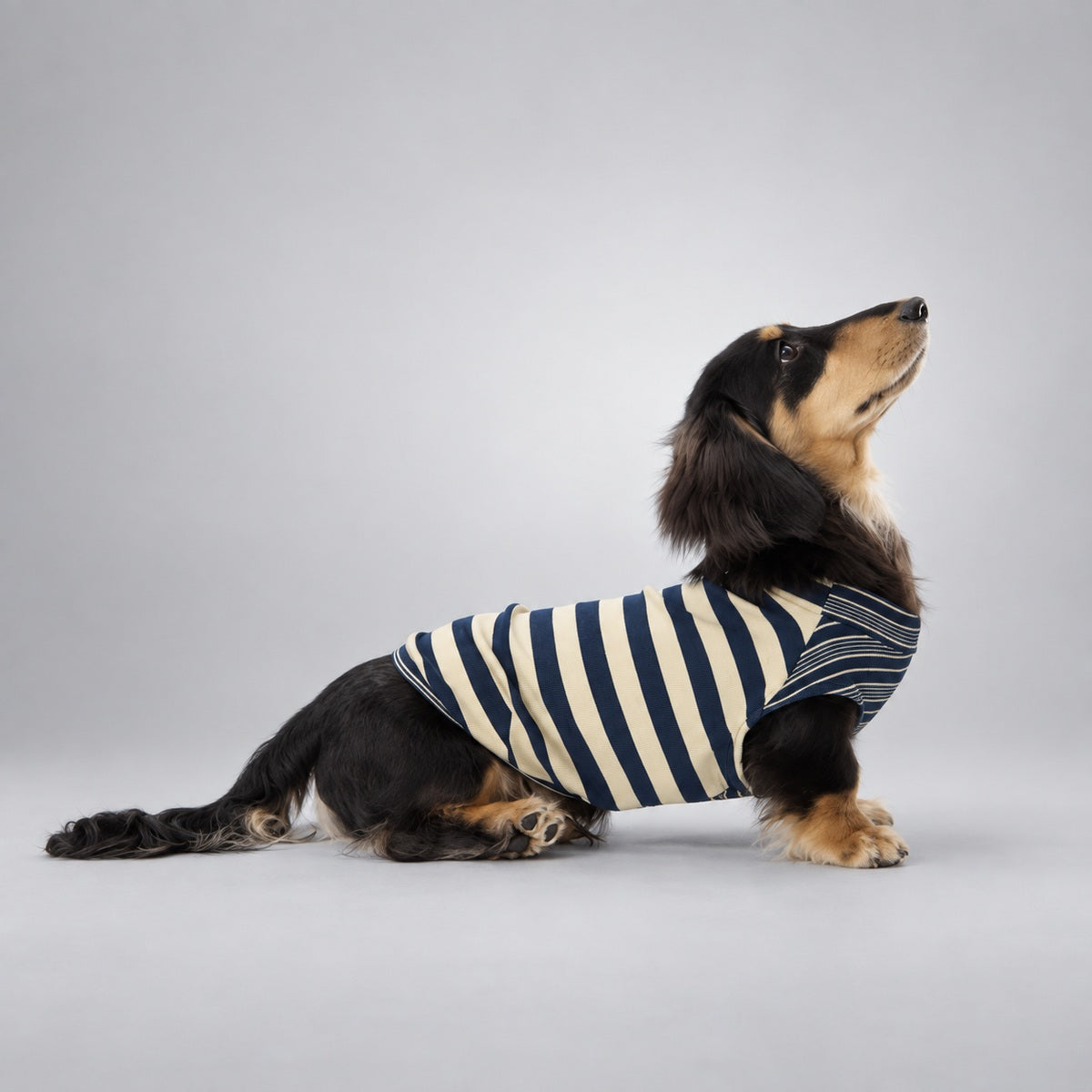 Soft Lyocell Striped Dog Shirt
