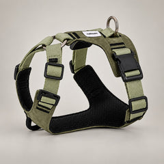 Everyday Control Pressure-Relief Dog Harness