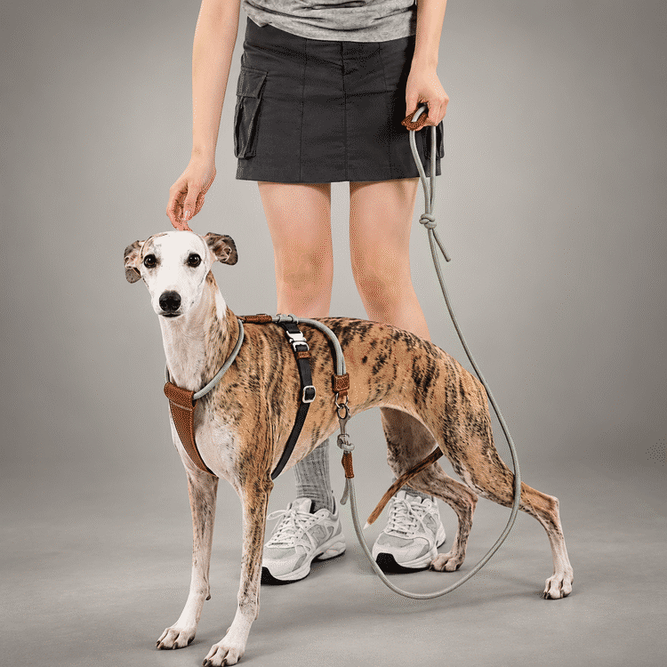 Sighthound Escape-Resistant Leather Rope Dog Harness & Leash Set