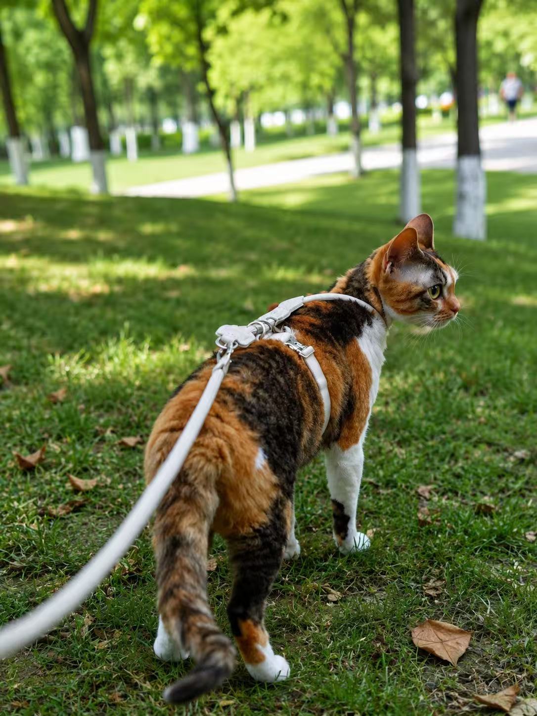 NEKOAN