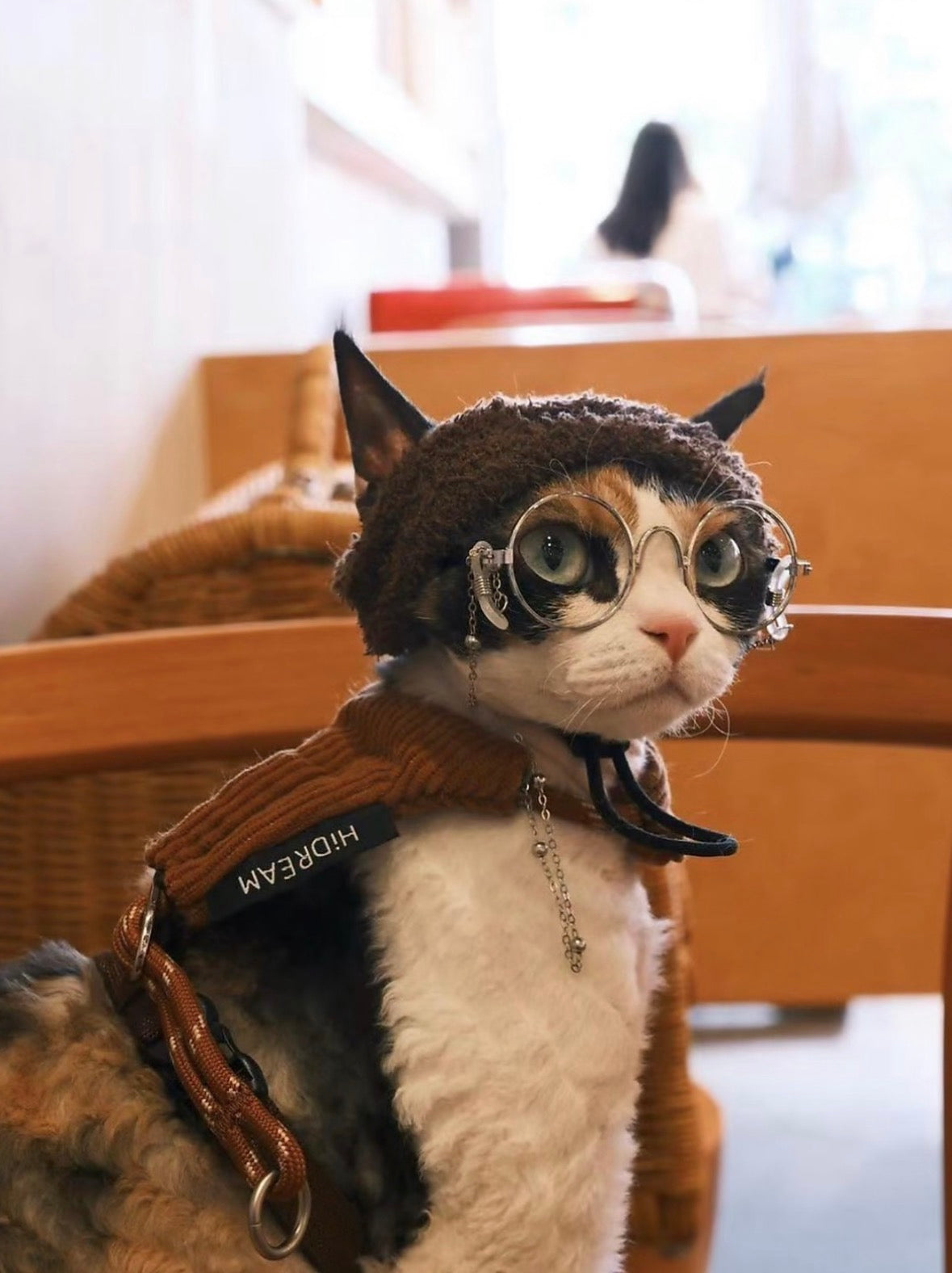 NEKOAN