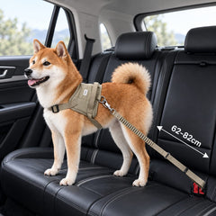 Dog Car Seat Belt
