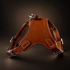 Atelier Sage Made-to-Order Leather Dog Harness