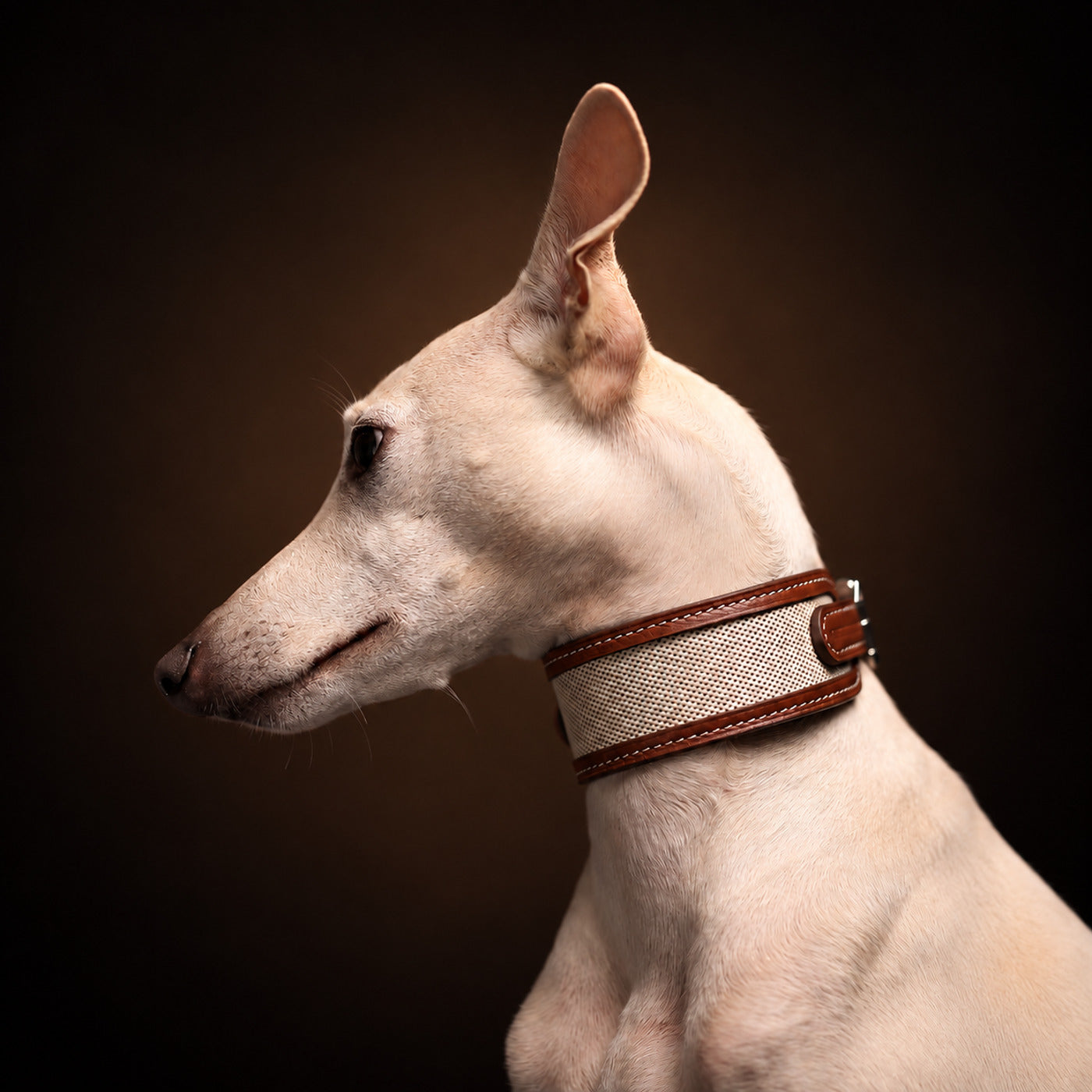 SAGE ÉTOUPE Handcrafted Dog Collar & Leash